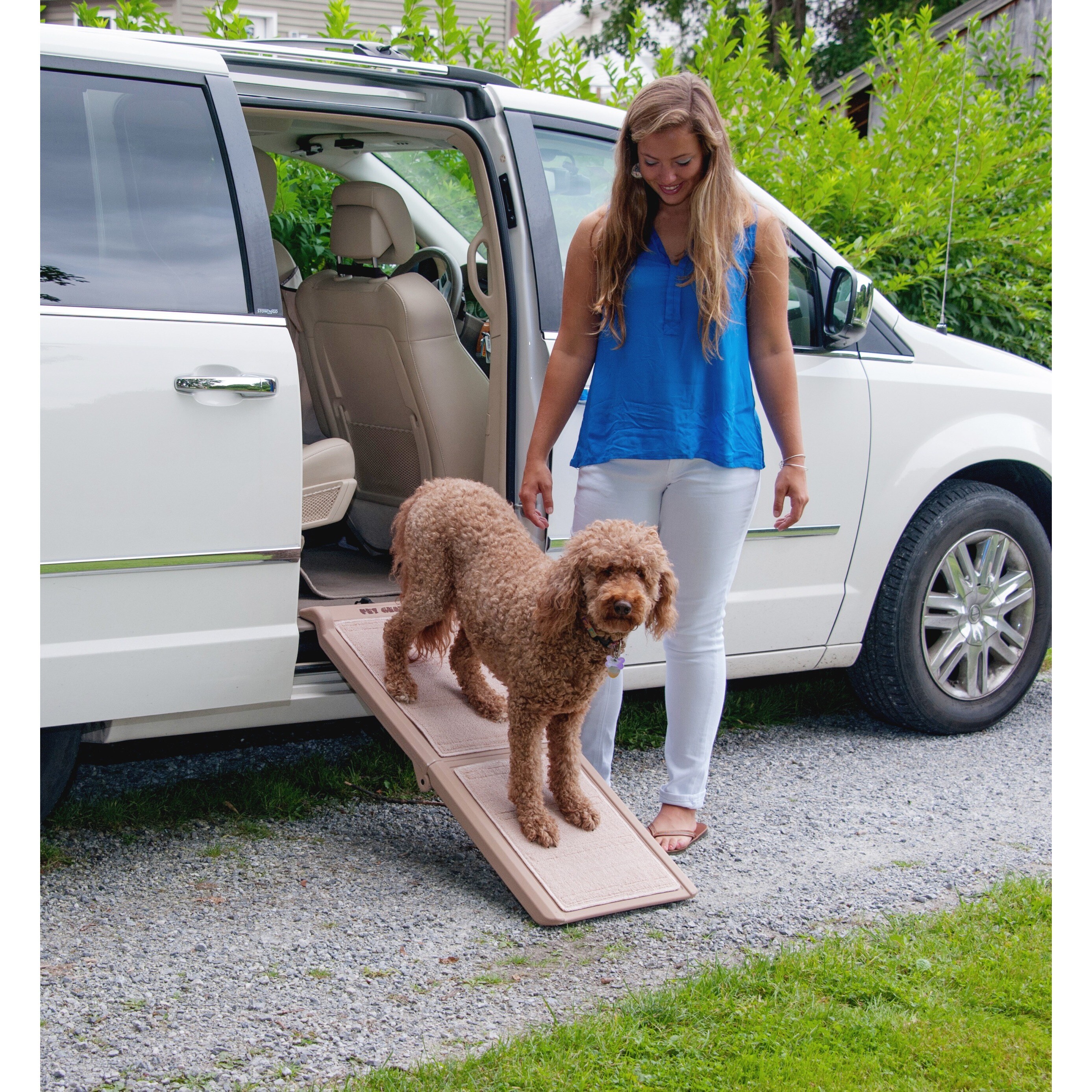 short pet ramp