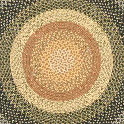 round braided rugs multi shop safavieh handwoven indooroutdoor reversible multicolor braided rug 8 round on sale free shipping today overstockcom 5756903 round braided rugs multi shop safavieh handwoven indooroutdoor reversible multicolor braided rug 8 round on sale free shipping today overstockcom 5756903