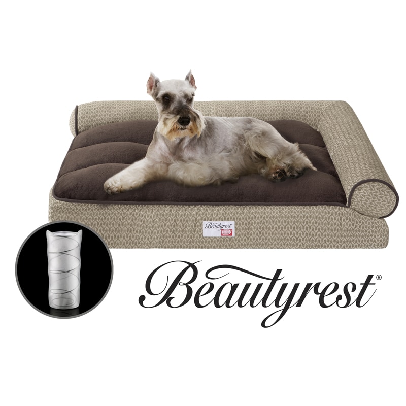Simmons Beautyrest Right Angle Bolster Lounger Pet Bed Free Simmons Beautyrest Right Angle Bolster Lounger Pet Bed Free Shipping Today 5877408