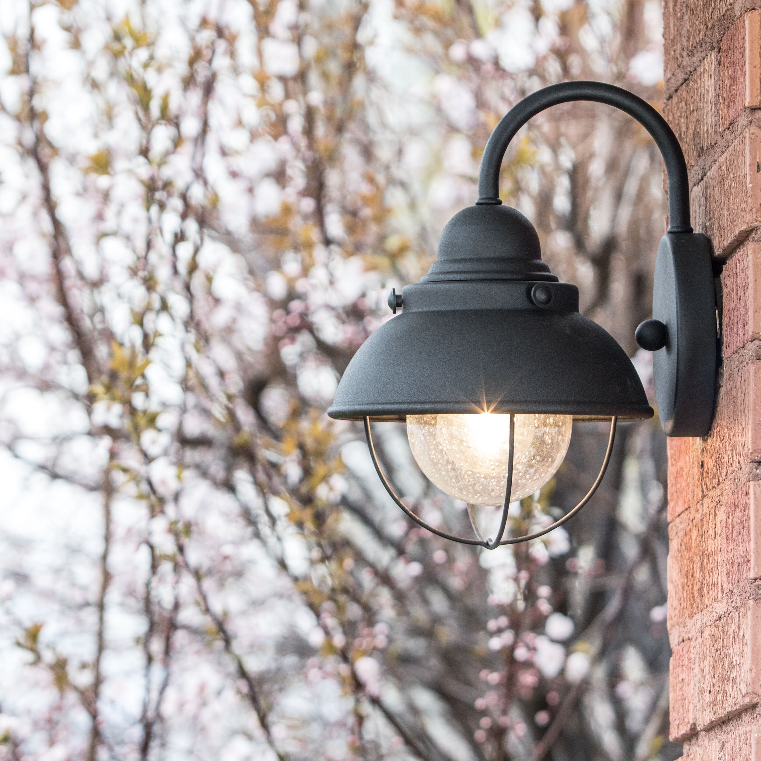 Sea Gull Lighting Sebring Black 100 Watt Outdoor Wall Lantern Sea Gull Lighting Sebring Black 100 Watt Outdoor Wall Lantern Free Shipping Today 7861857