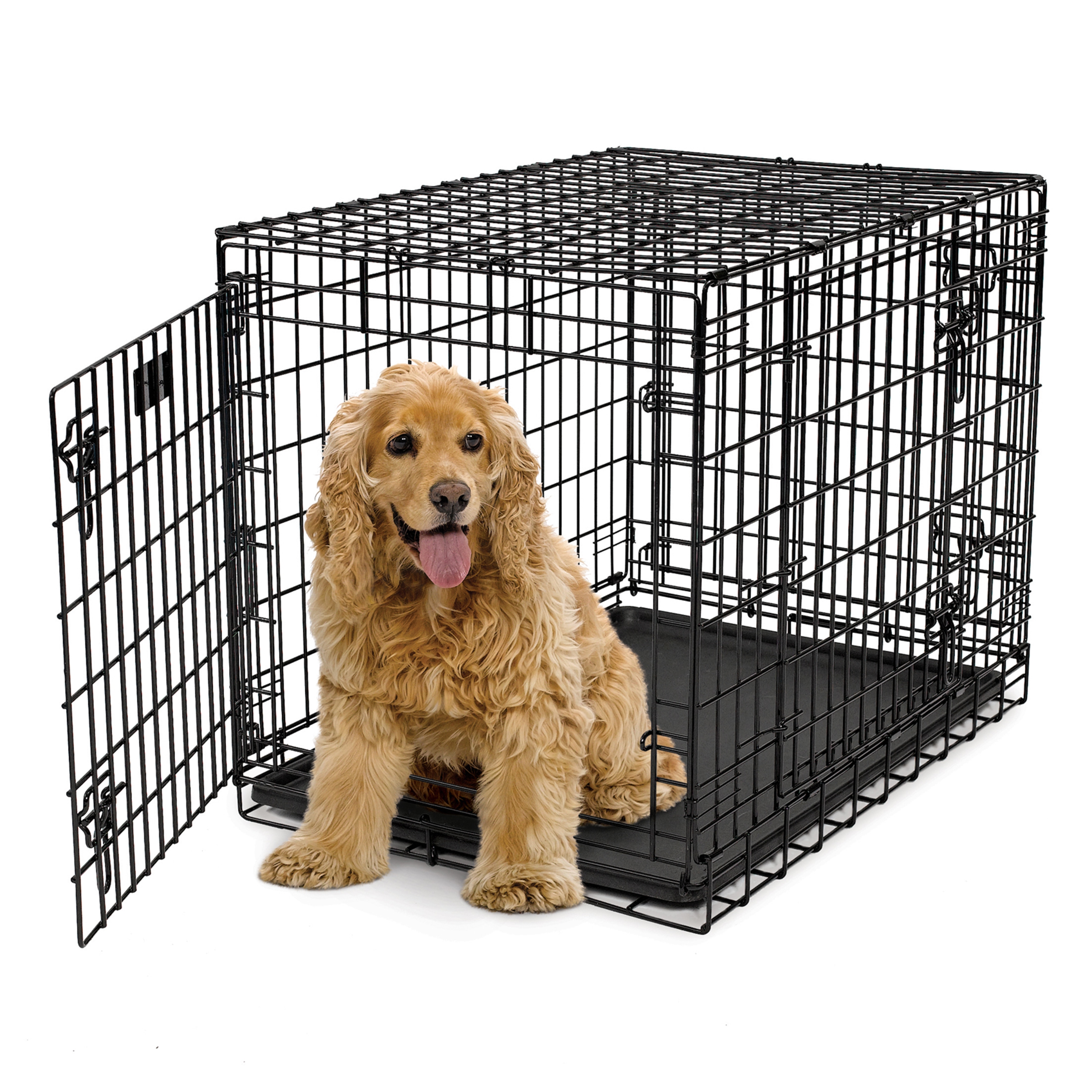 dog crate for cocker spaniel