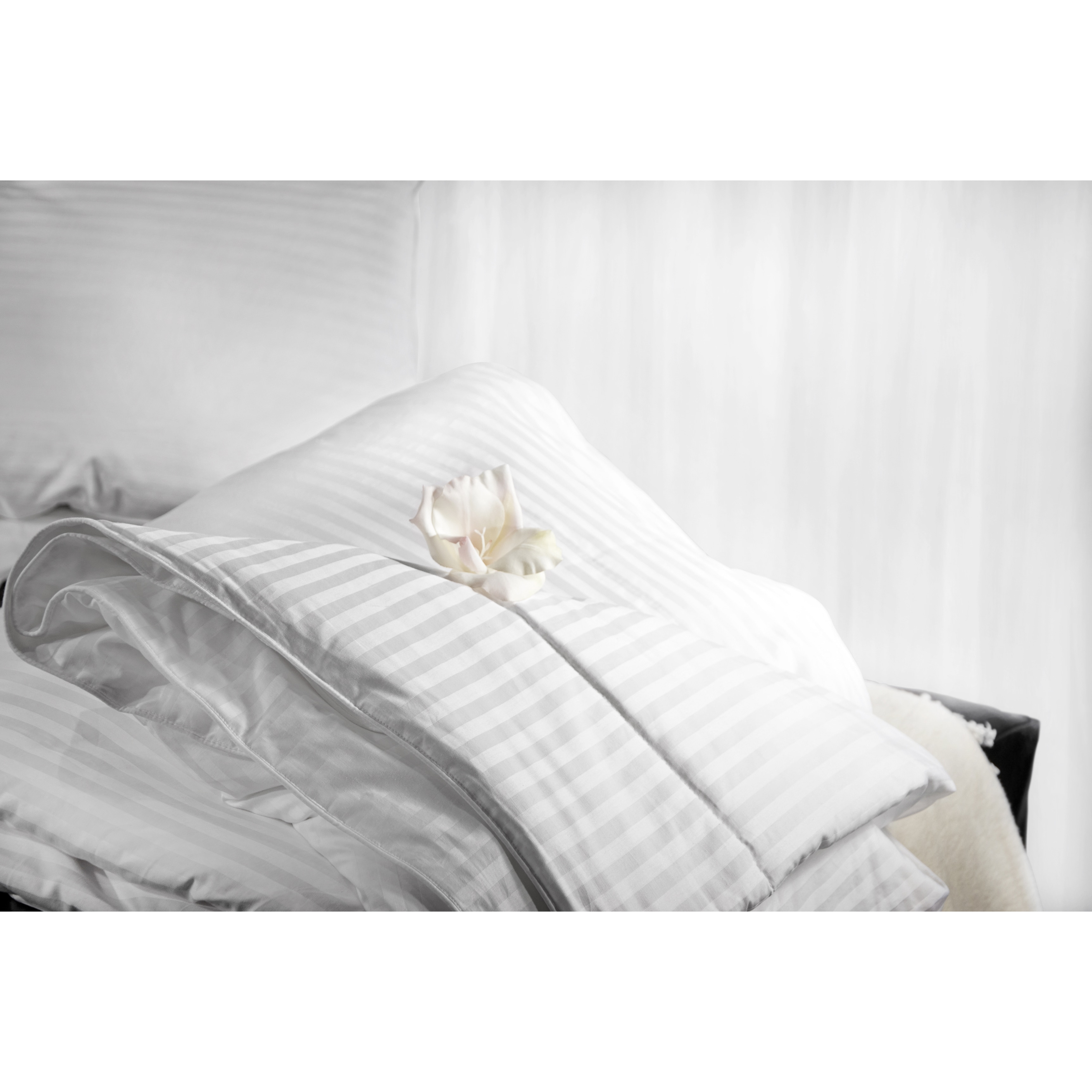 Aus Vio Luxurious Cotton Mulberry Silk Comforter Free Aus Vio Luxurious Cotton Mulberry Silk Comforter Free Shipping Today 8962139
