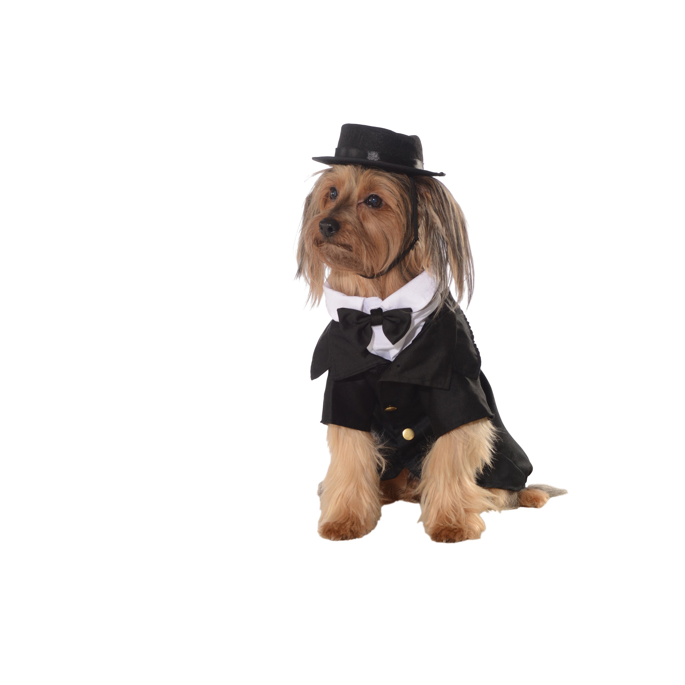 Dapper dog clothing Clearance