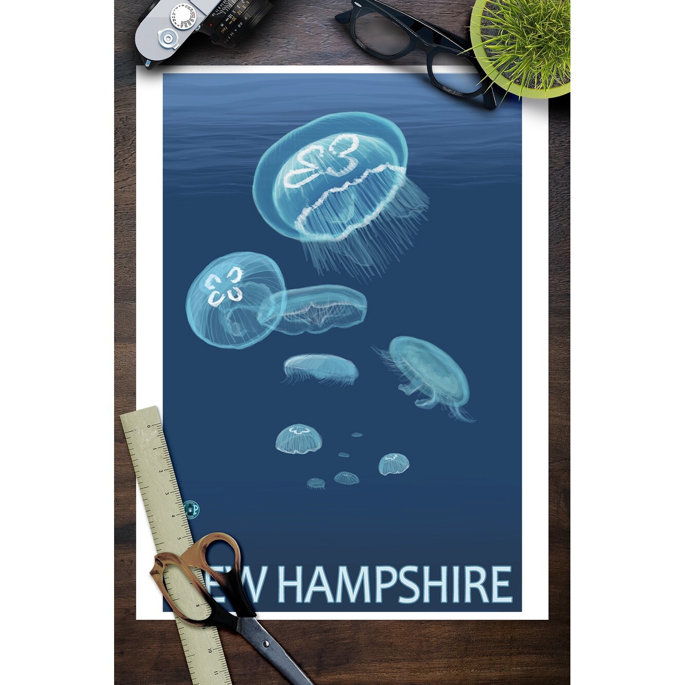 New Hampshire Jellyfish Scene Lp Original Poster Art Print Multiple Sizes Available 9 X 12 Art Print