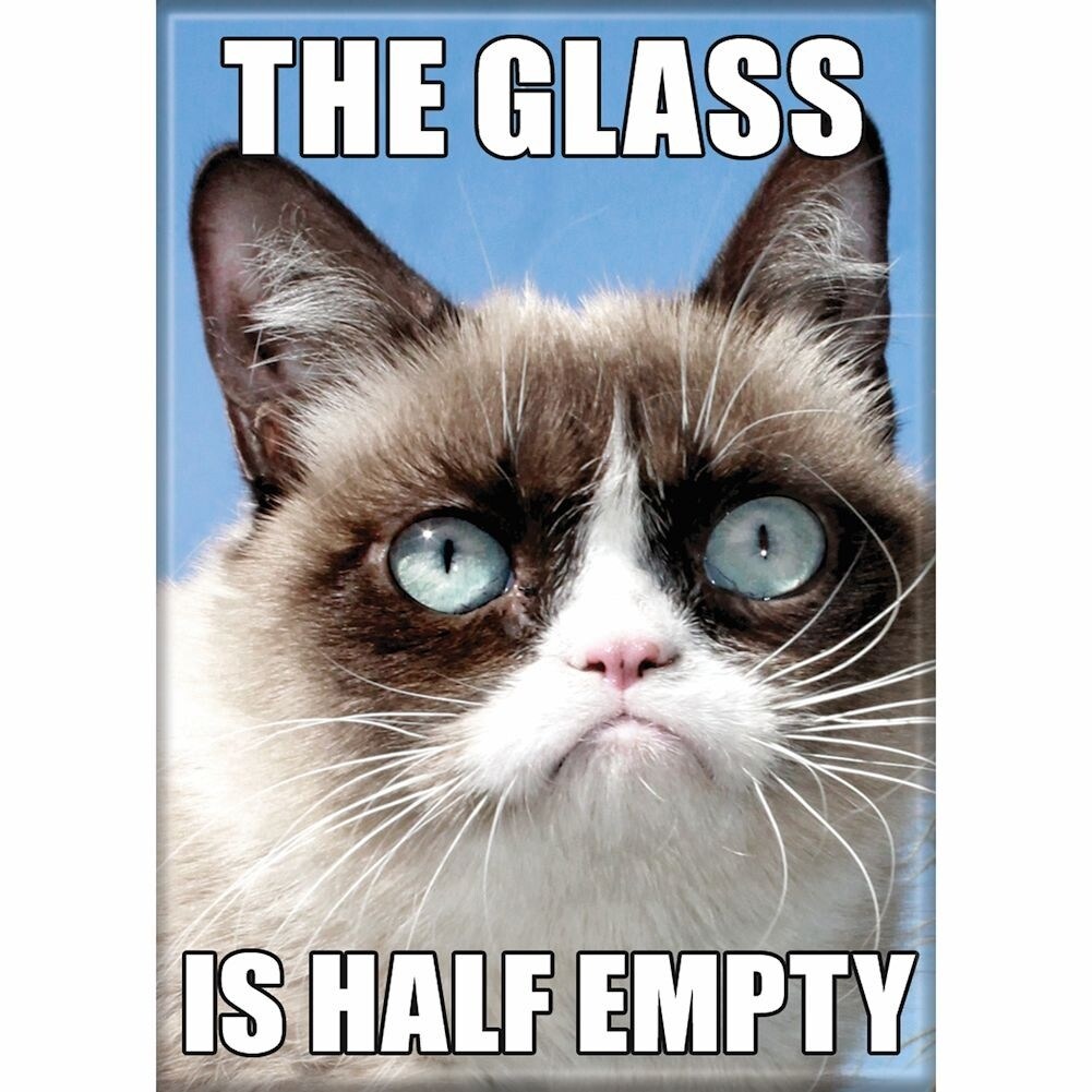 Shop Grumpy Cat Funny 4 Pack Refrigerator Magnet Set Overstock