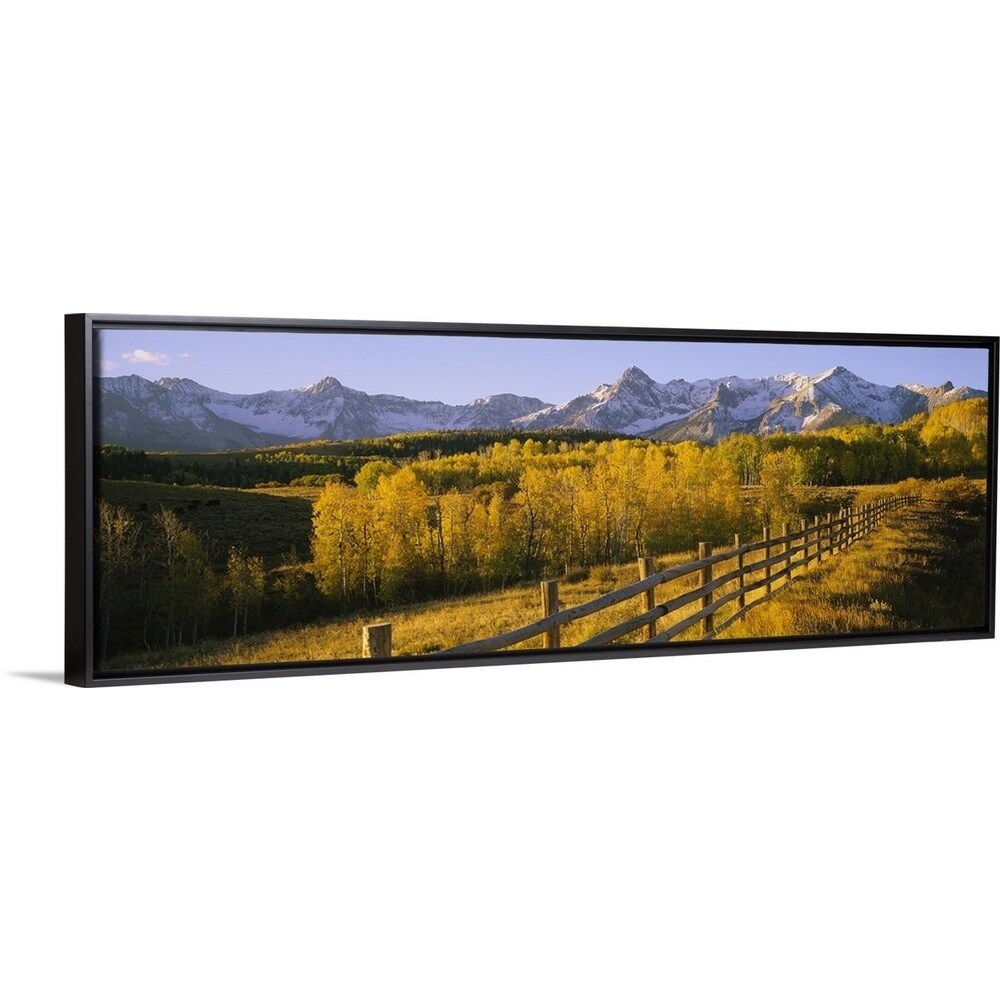 Trees In A Field Near A Wooden Fence Dallas Divide San Juan Mountains Colorado Multi Color