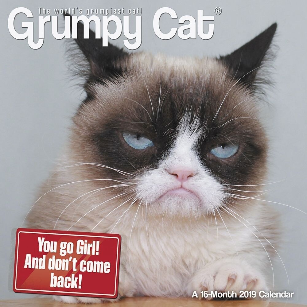 Shop 2019 Grumpy Cat 2019 Mini Wall Calendar Funny Cats By Acco
