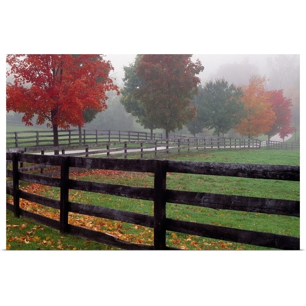 Poster Print Entitled Fenceline And Wet Road Autumn Color Trees In Mist Maryland Multi Color