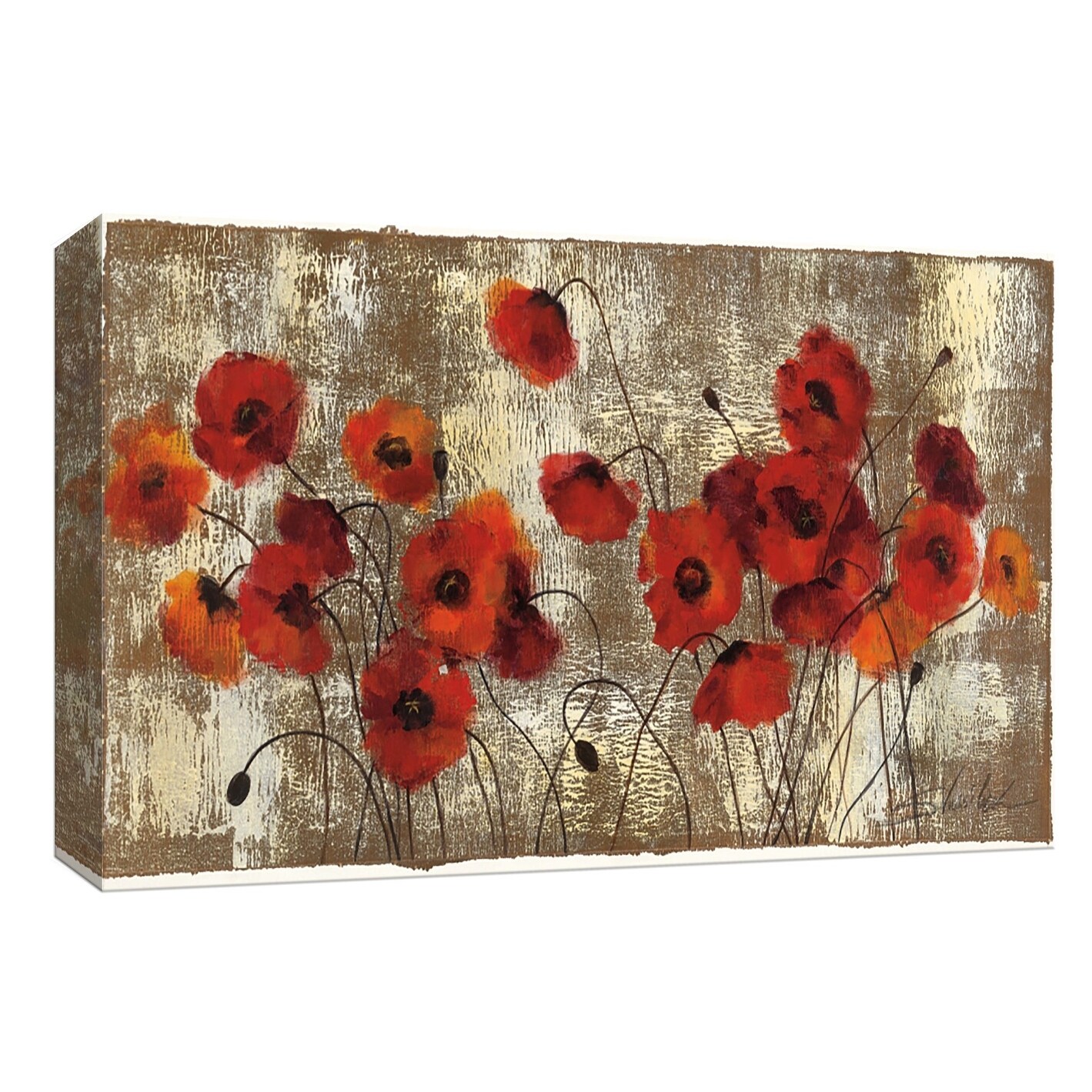 Ptm Images 9 153639 Ptm Canvas Collection 8 X 10 Tender Poppies Giclee Flowers Art Print On Canvas