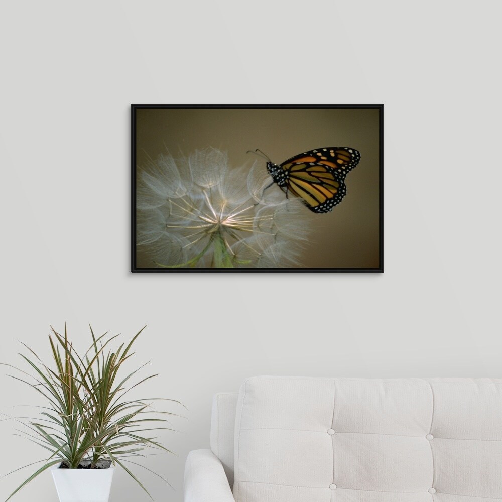 A Butterfly Landing On A Flower Multi Color
