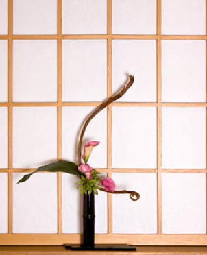 How to Arrange Simple Ikebana | Overstock.com