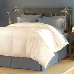 Shop Famous Maker 300tc Outlast Oversized White Down Comforter