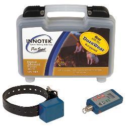 innotek dog collar