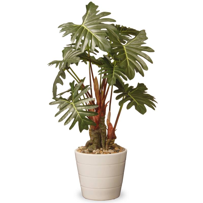 National Tree Company 21 in. Philodendron Plant in Green Ceramic Pot - Green