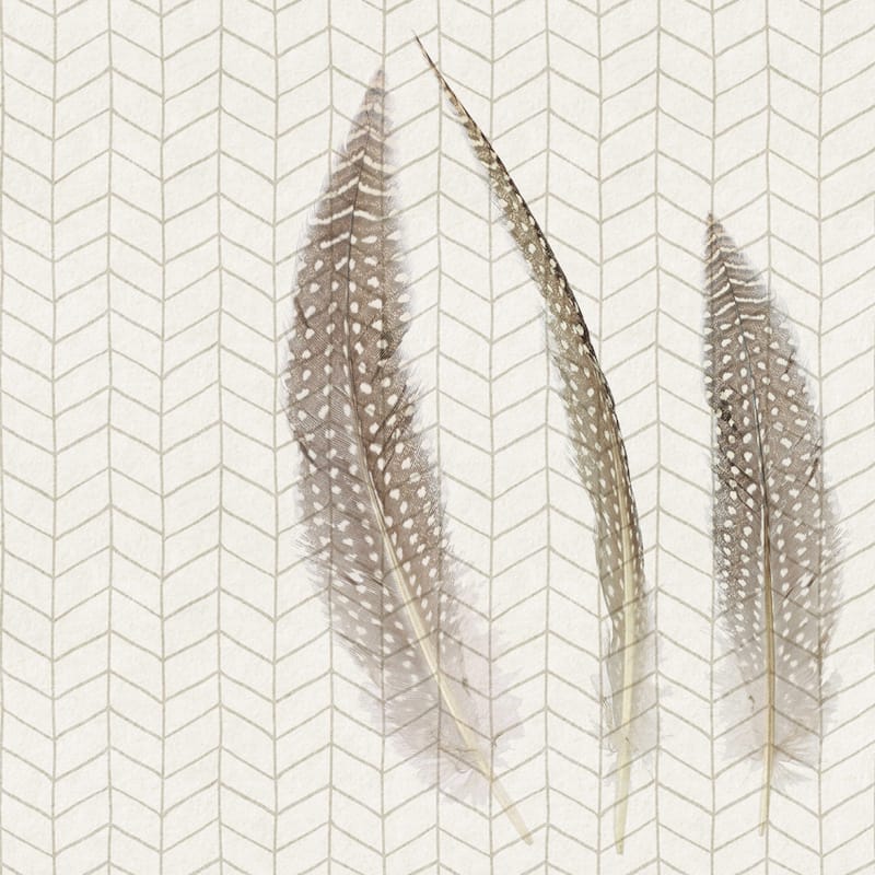 Feather Pat - Multi-Color