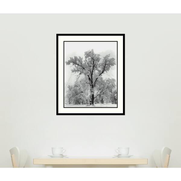 Shop Framed Art Print Oak Tree Snowstorm Yosemite National Park 1948 By Ansel Adams 27 X 32 Inch Overstock 10007683