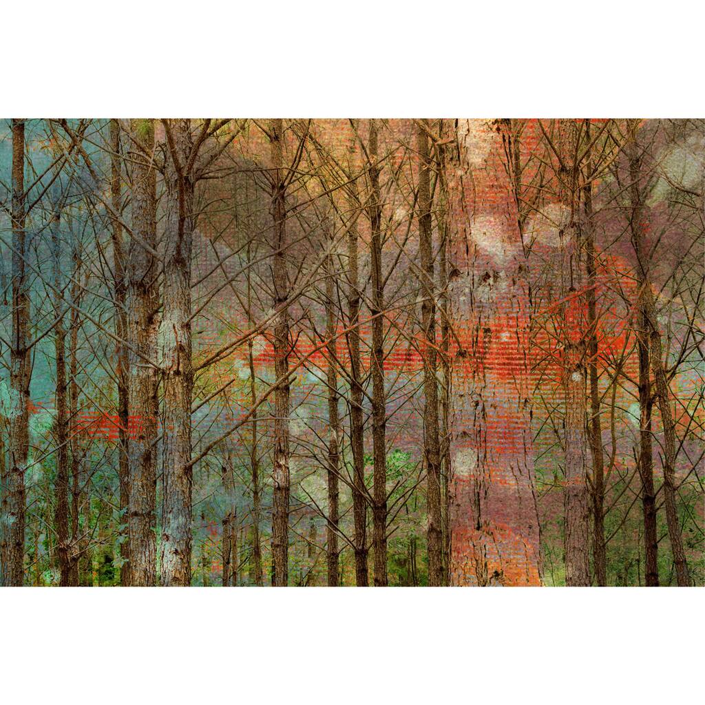 Marmont Hill Art Collective 'Through the Trees' Canvas Art