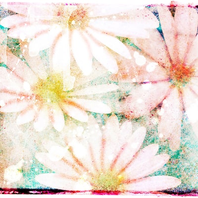 Marmont Hill Art Collective 'Daisies' Canvas art - Multi-Color
