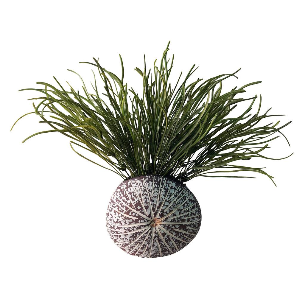 D&W Silks Pearl Grass in Splattered Mocha Sanddollar Planter - Green