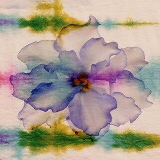 Parvez Taj 'Watercolor Azalea' Canvas Art