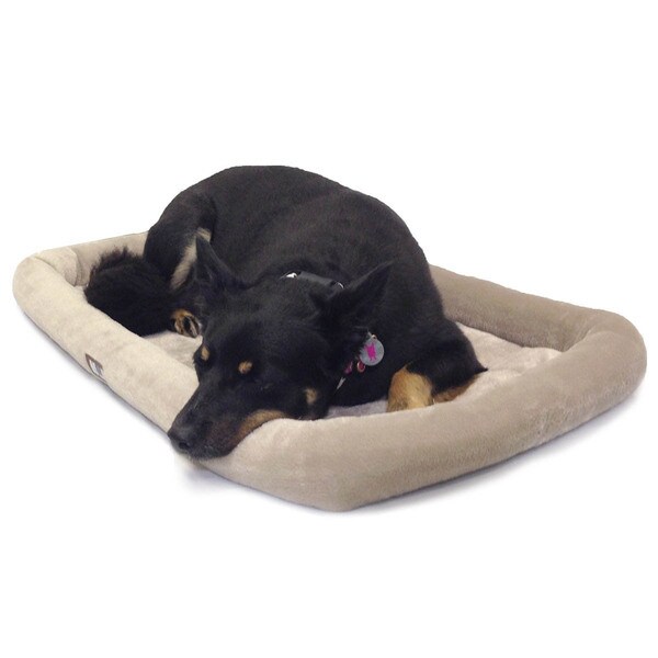 Shop Animal Planet Bolster Pet Bed/ Crate Mat - Overstock ...