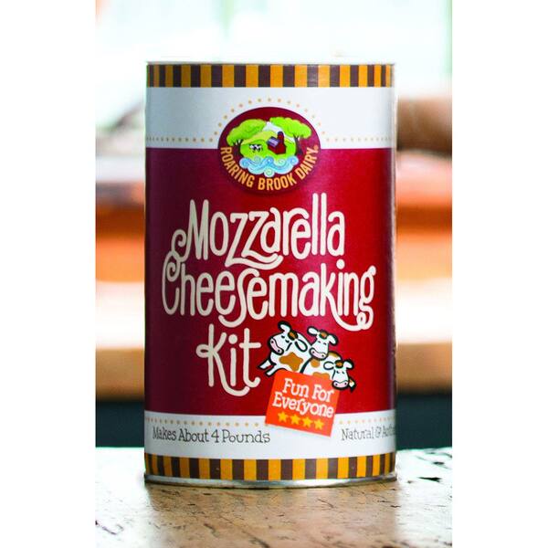 Shop Mozzarella Cheesemaking And Ricotta Cottage Cheese Diy Kits