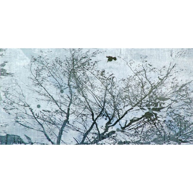 Marmont Hill Art Collective 'Wish Upon Water' Canvas Art - Multi-Color