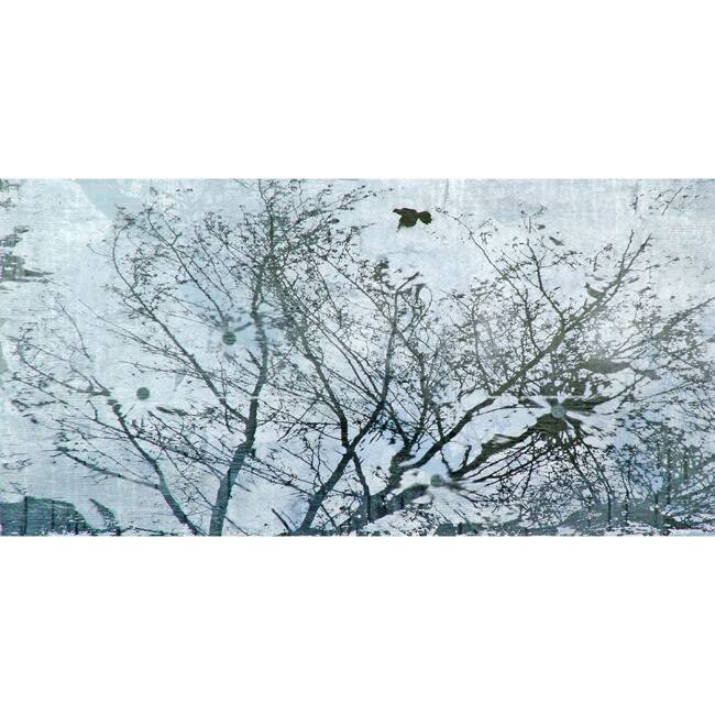 Marmont Hill Art Collective 'Wish Upon Water' Canvas Art - Multi-Color