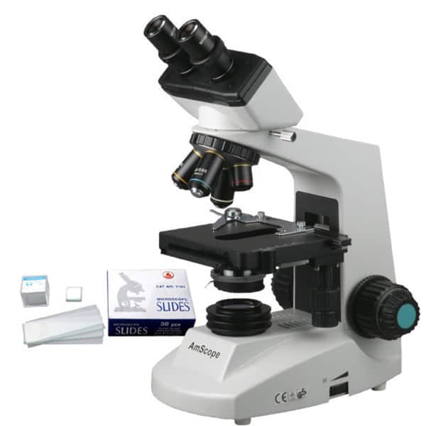 AmScope 40x-2000x Professional Biological Compound Microscope with ...