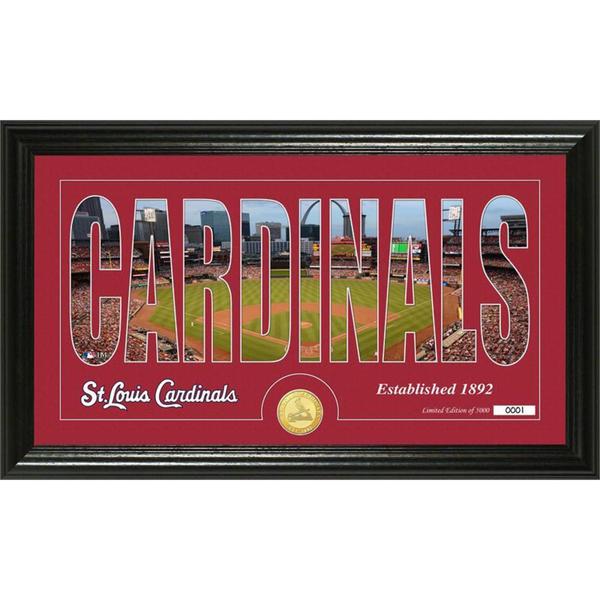 St. Louis Cardinals Silhouette Bronze Coin Panoramic Photo Mint