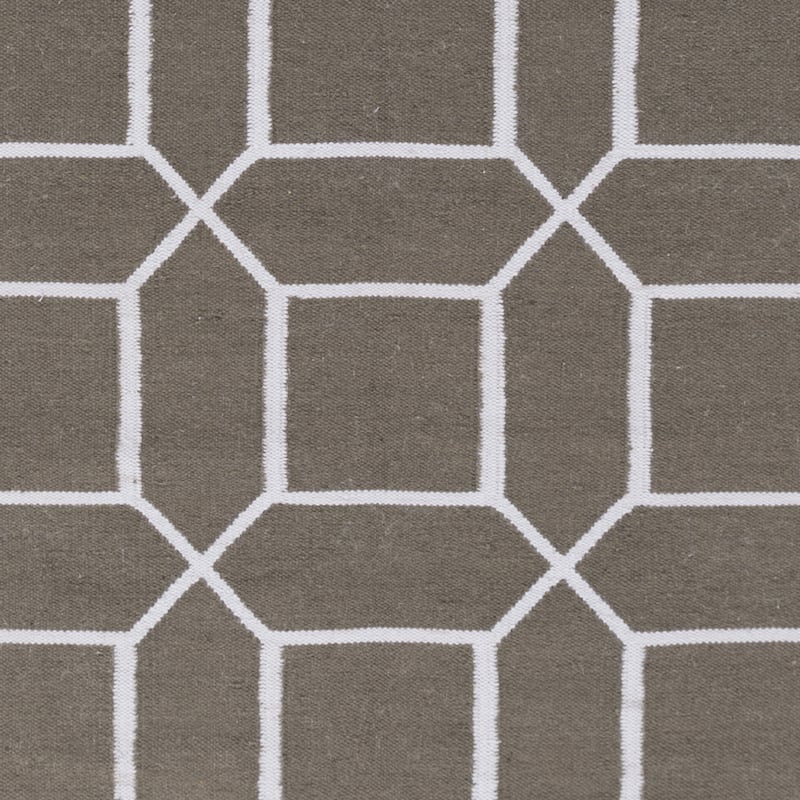 Hand-Woven Rodolfo Geometric PET Area Rug
