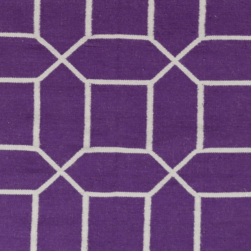 Hand-Woven Rodolfo Geometric PET Area Rug