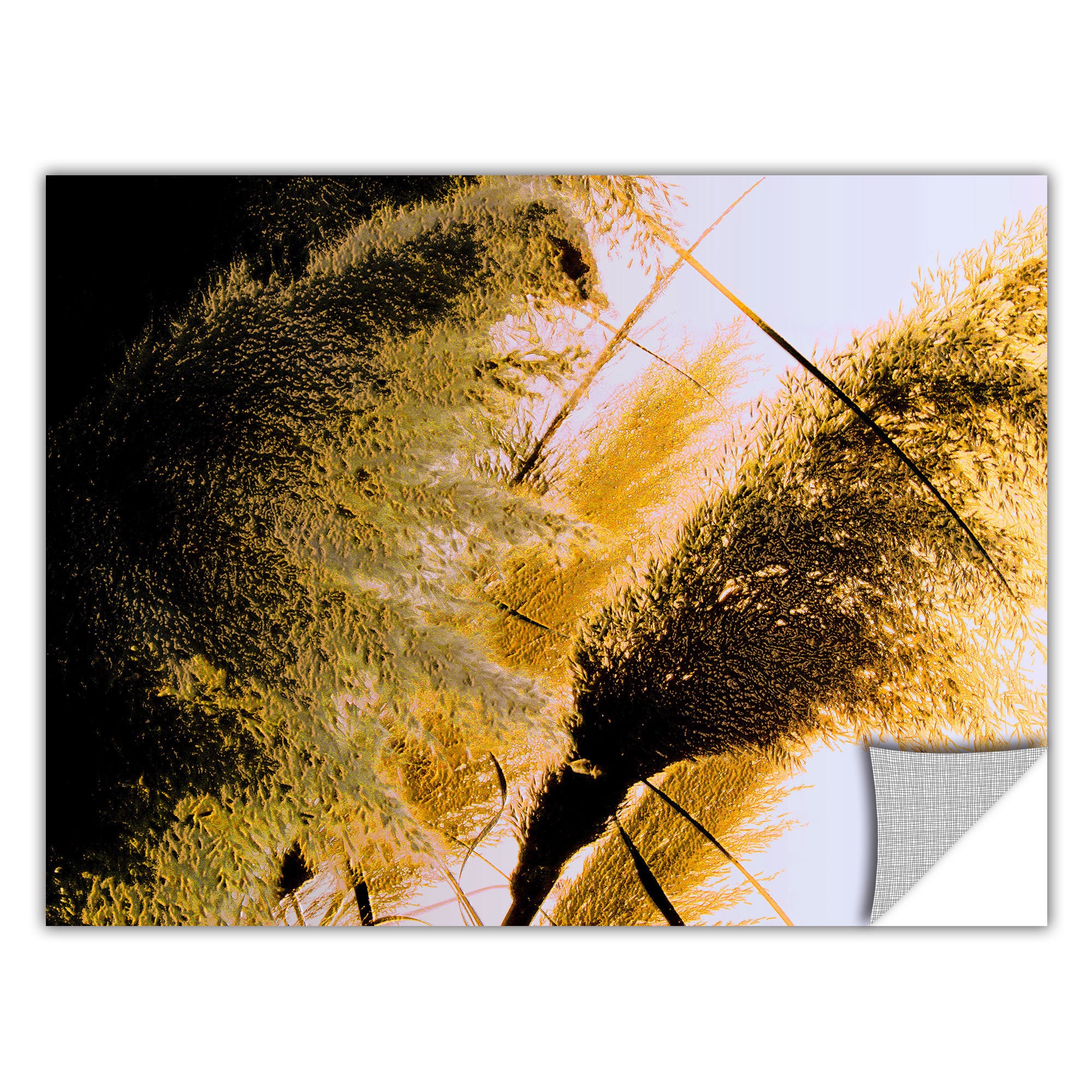 ArtWall Artapeelz Dean Uhlinger August Pampas Removable Graphic Wall Art 24 by 32-Inch