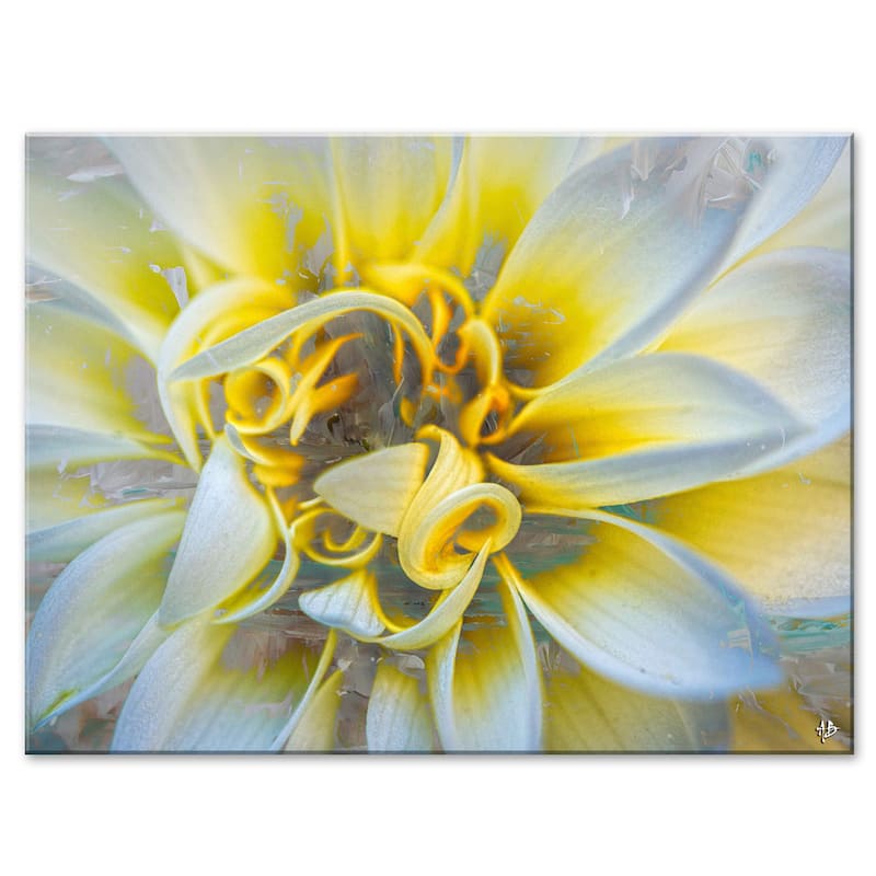 Ready2HangArt 'Painted Petals XXXVII' Canvas Wall Art