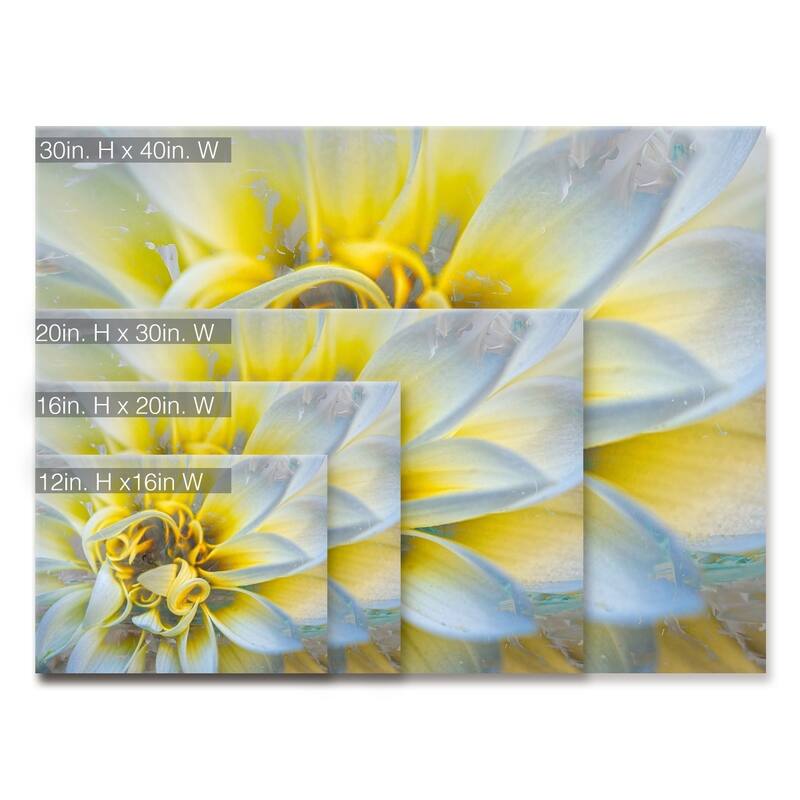 Ready2HangArt 'Painted Petals XXXVII' Canvas Wall Art
