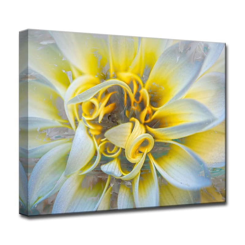 Ready2HangArt 'Painted Petals XXXVII' Canvas Wall Art