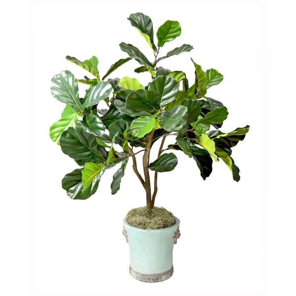 Faux Fiddle Leaf Fig Tree in Aqua Blue Embellished Pot - Free ... - Faux Fiddle Leaf Fig Tree in Aqua Blue Embellished Pot