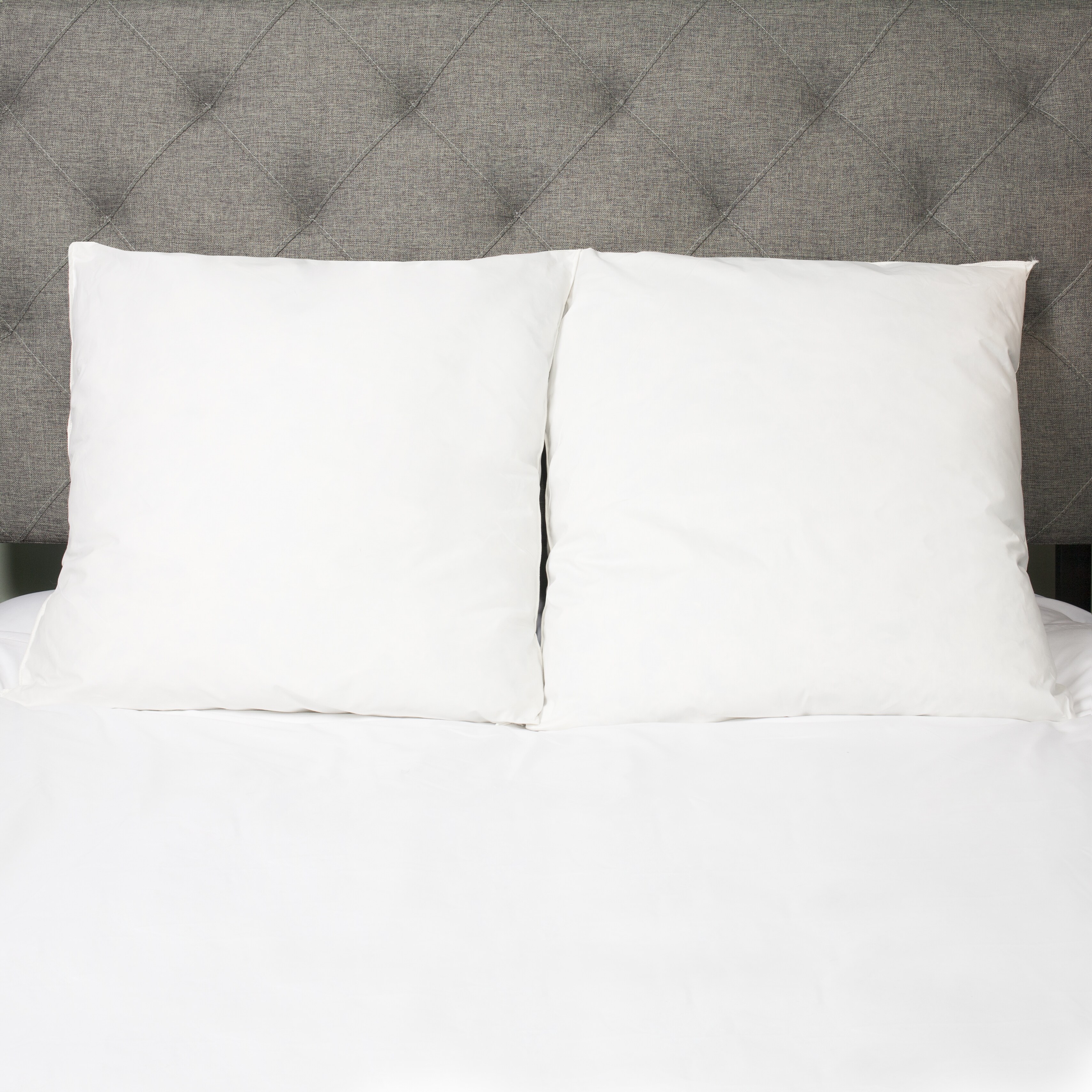 Shop European Style Cotton Down And Feather Euro Square Pillow