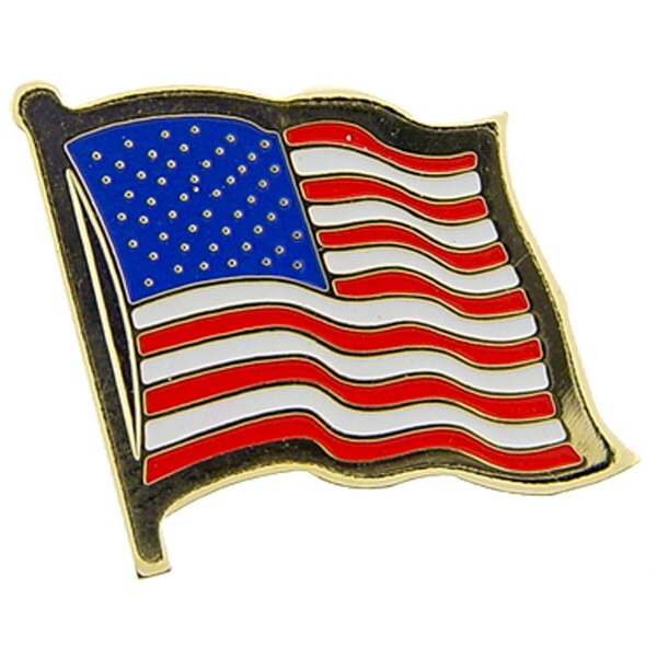 Wavy United States Flag Pin