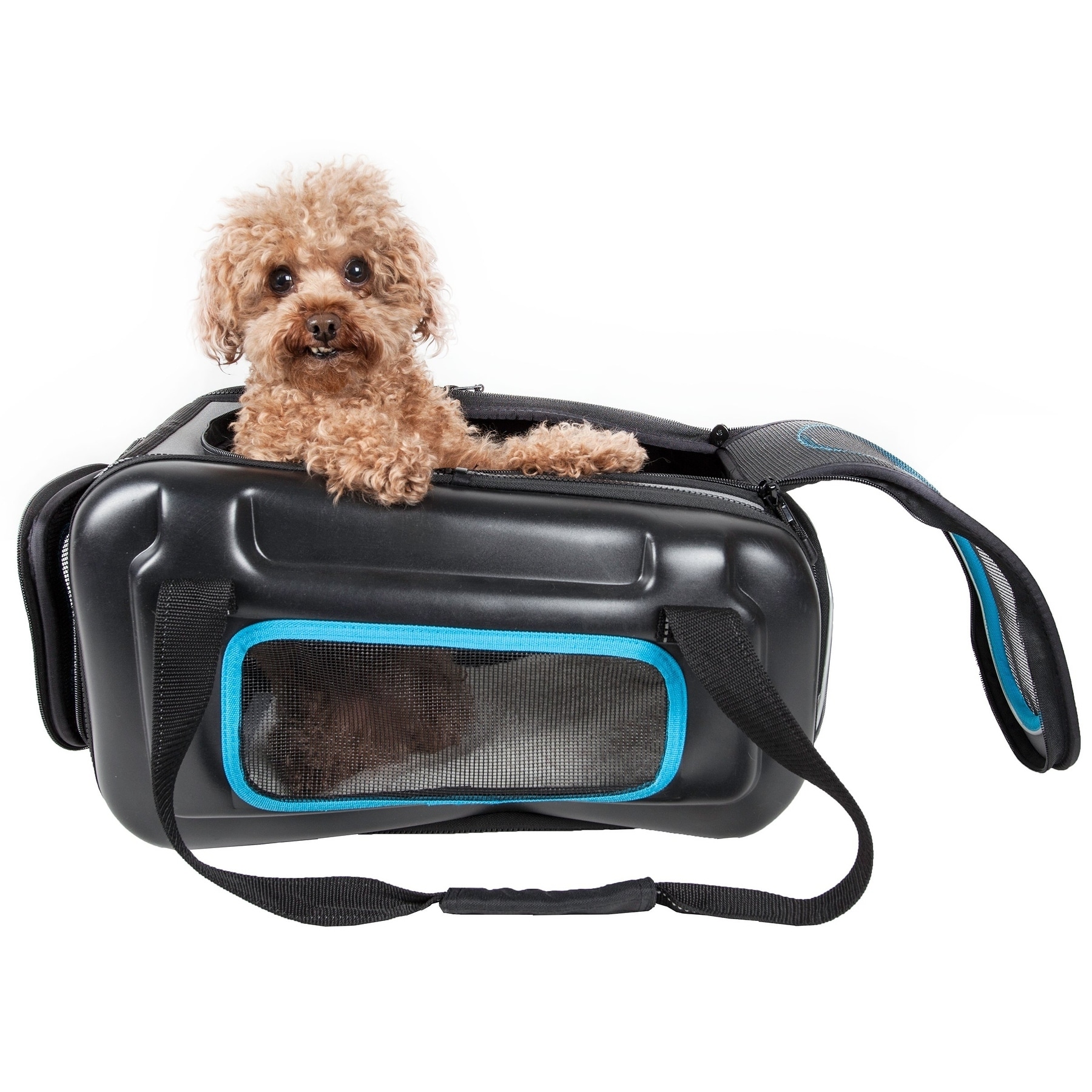 Airline Approved Collapsible Lightweight Ergo Stow away Contoured Pet