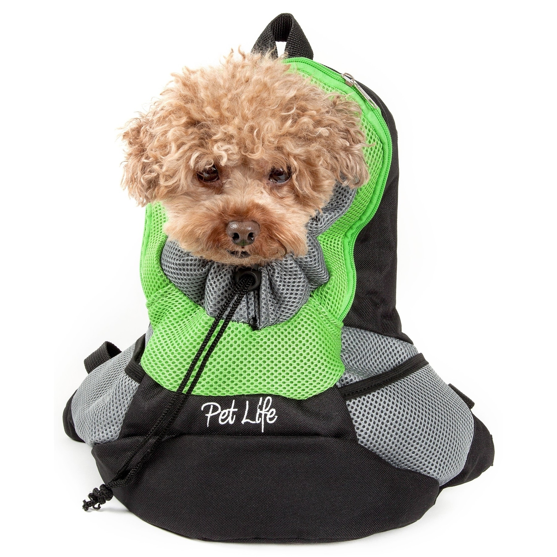 dog travel backpack