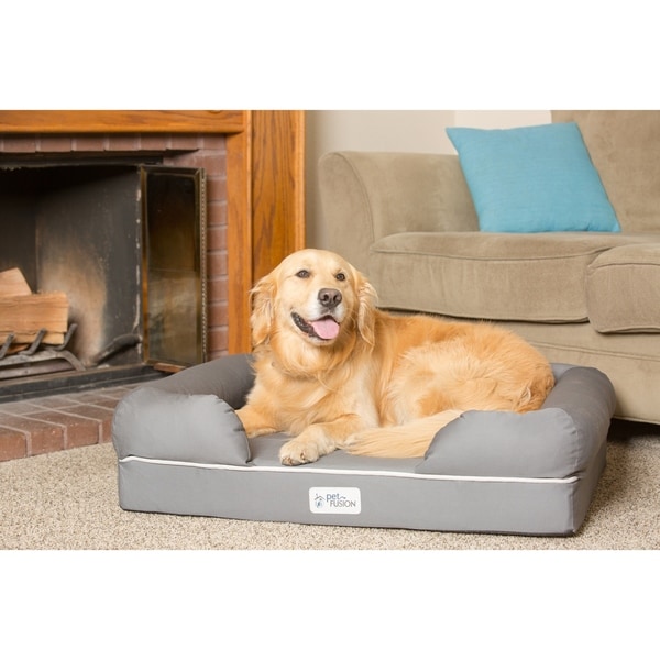 dog lounge bed