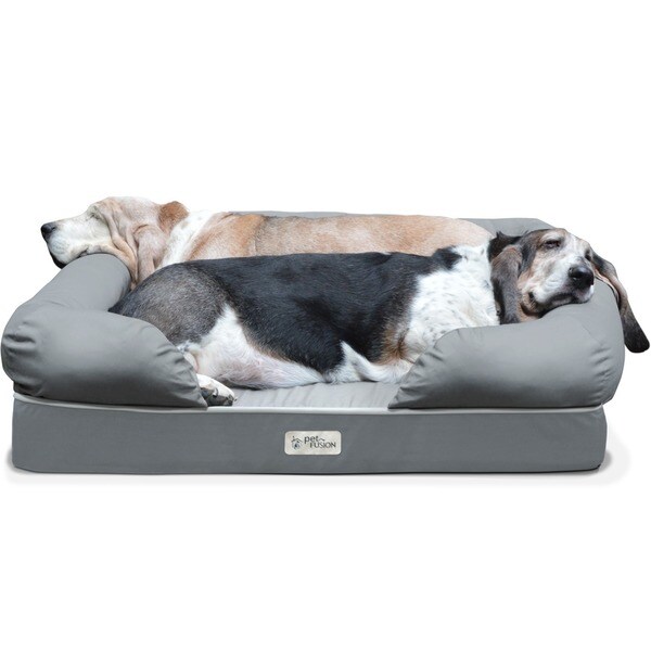 petfusion xl dog bed