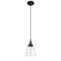 Glass industrial edison pendant lamp light