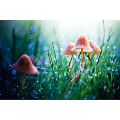 Marmont Hill Art Collective 'Fairytopia' Canvas Art - Multi-Color