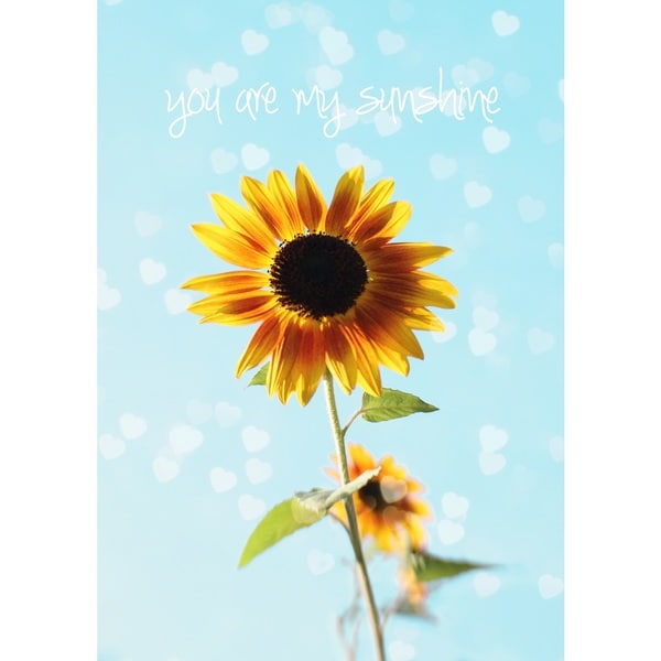 Marmont Hill Art Collective 'You Are My Sunshine' Canvas Art - Multi-color