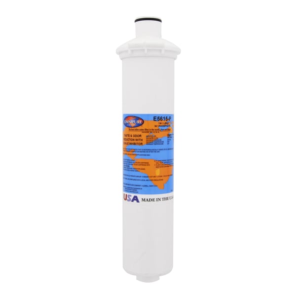 E5615-P Omnipure E-Series Water Filter