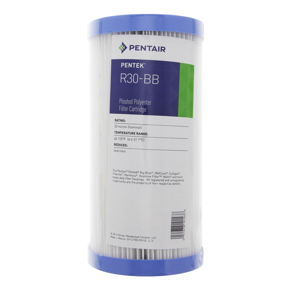 Pentair Pentek R30-BB Pleated Polyester Water Filters (9.75-inch x 4.5-inch) (Filter)
