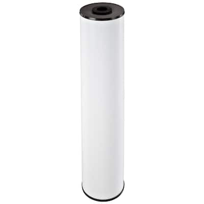 Pentek RFFE20-BB Iron Reduction Water Filter (20-inch x 4.5-inch) - White