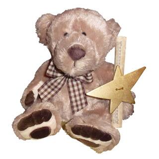 https://ak1.ostkcdn.com/images/products/10150948/Star-Legacys-Name-A-Star-Live-Teddy-Bear-Gift-Set-1f657f2e-3ad6-431f-a639-ea7781e441c1_320.jpg?impolicy=medium